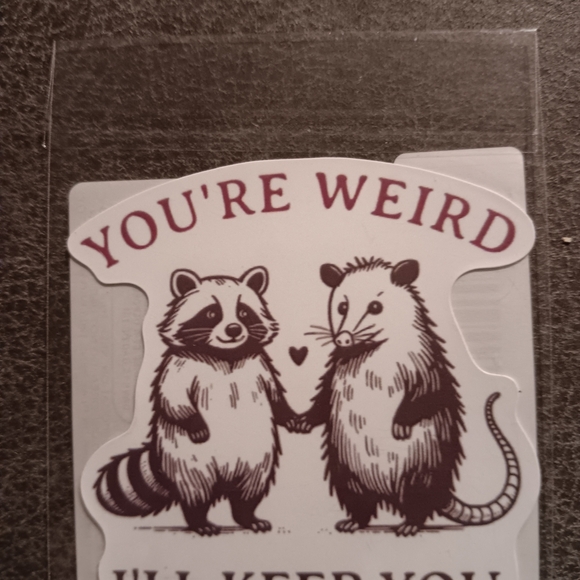 Other - You're Weird Raccoon and Opossum Sticker